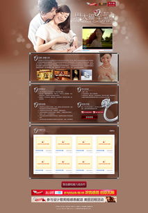 网站设计 精品 网页 企业官网 凯娜设计